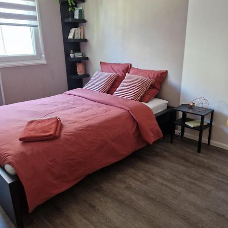 Robertsau Tres Bel Appartement Estrasburgo Exterior foto
